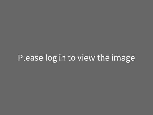Please  to view the image