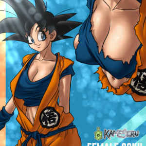 The Misadventures of Goki-Kakaroko